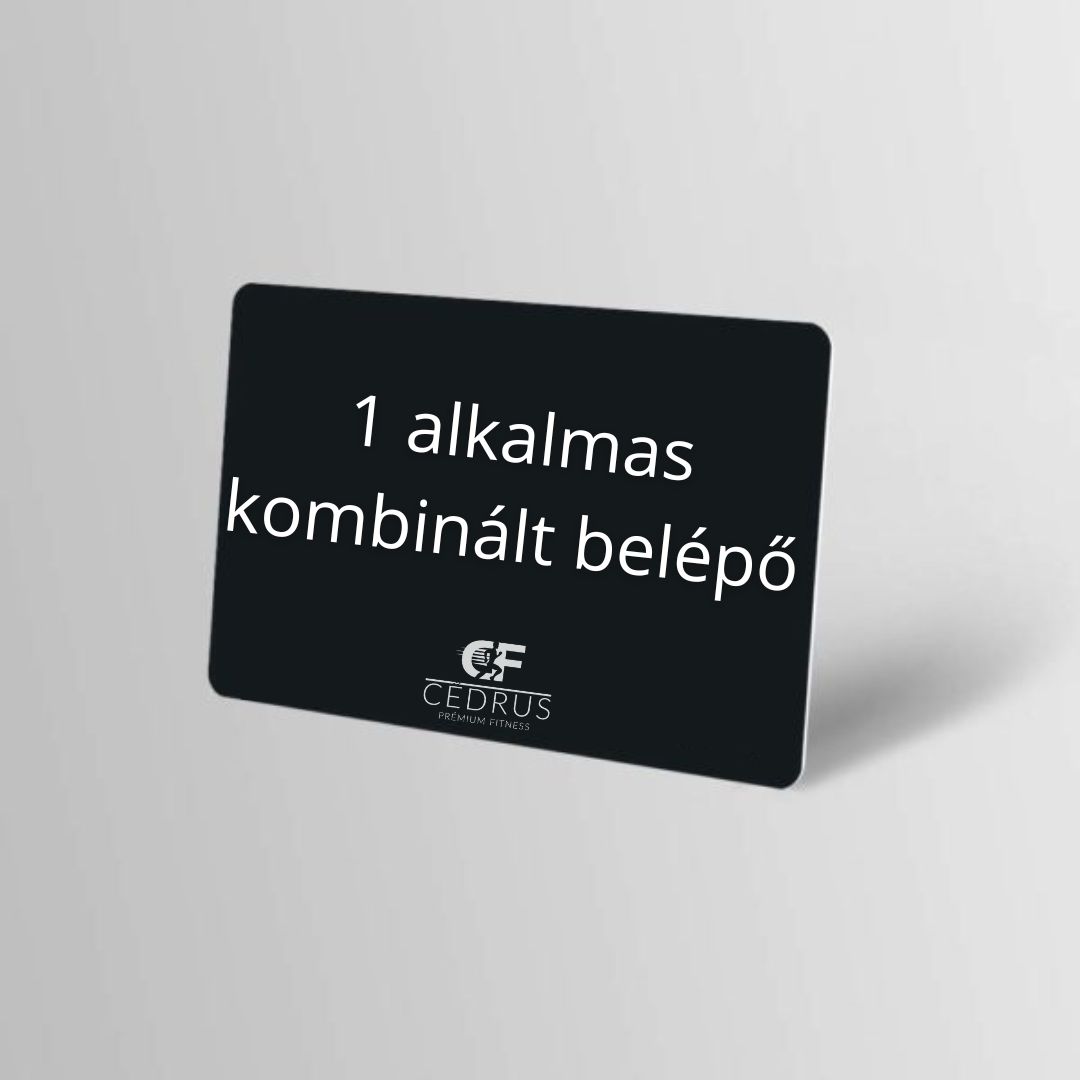 1 eurós napi jegy