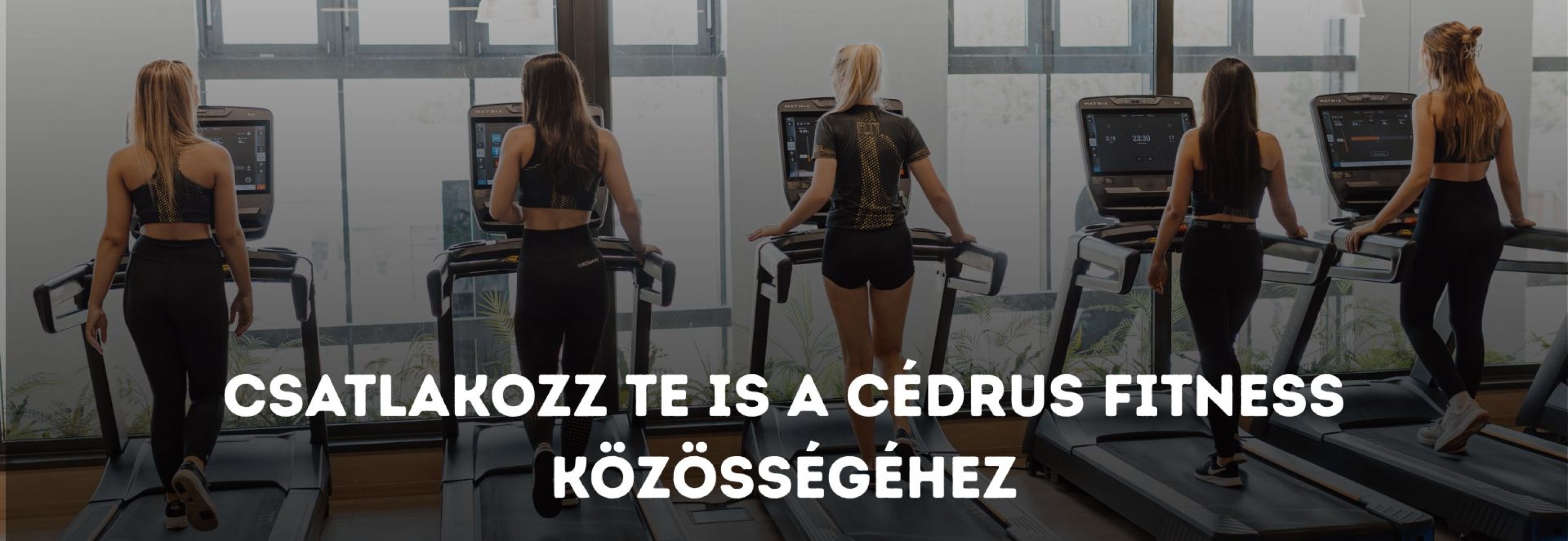 előfizetés bérlet + téli akciós ajándékok (44)